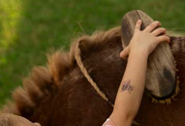 Visita guidata in fattoria e merenda di nocciole in provincia di Asti