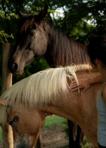 Visita guidata in fattoria e merenda di nocciole in provincia di Asti
