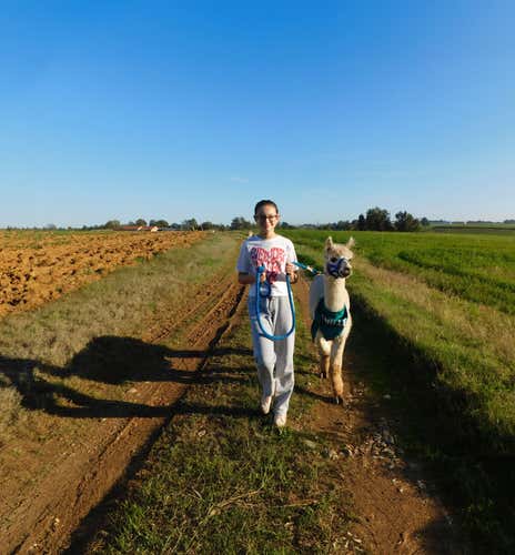 Passeggiata con alpaca e merenda nel cuore del Roero