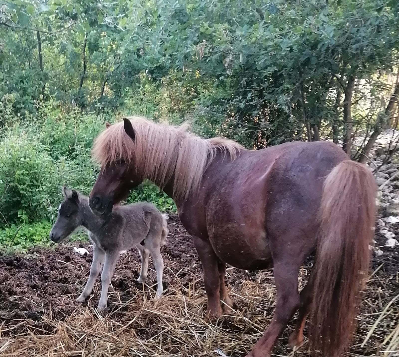 Visita guidata in una fattoria e azienda agricola a L’Aquila