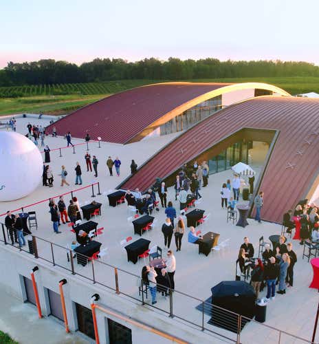 Tasting with cellar visit and wine casino in the Novara Hills