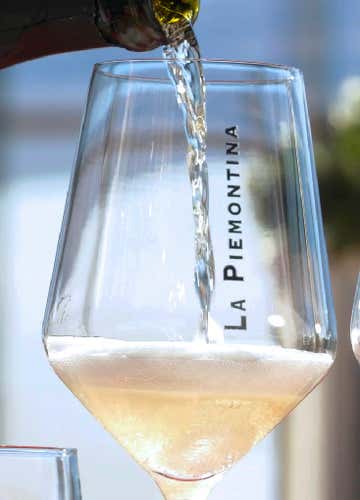 Tasting with cellar visit and wine casino in the Novara Hills