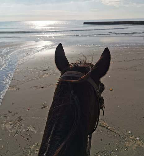 Horse riding on the beach at Lido Azzurro near Taranto