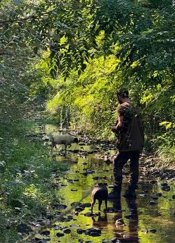 Truffle hunting in Casole d'Elsa in the province of Siena