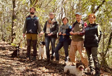 Truffle hunting in Casole d'Elsa in the province of Siena