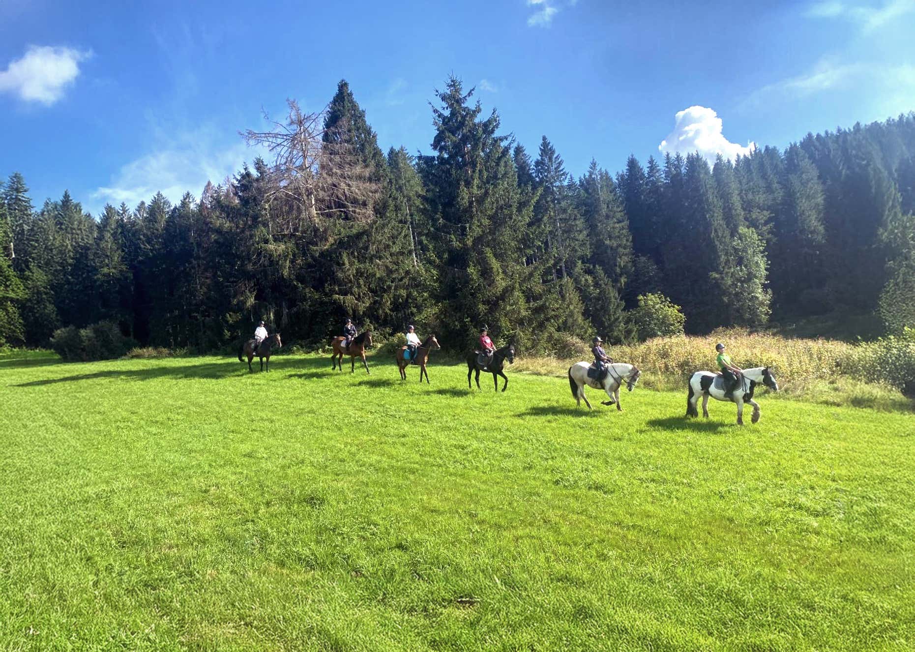 Passeggiata a cavallo di 2 ore sull'Altopiano di Asiago