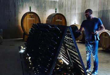 Winery visit with lunch and wine tasting in the province of Siena