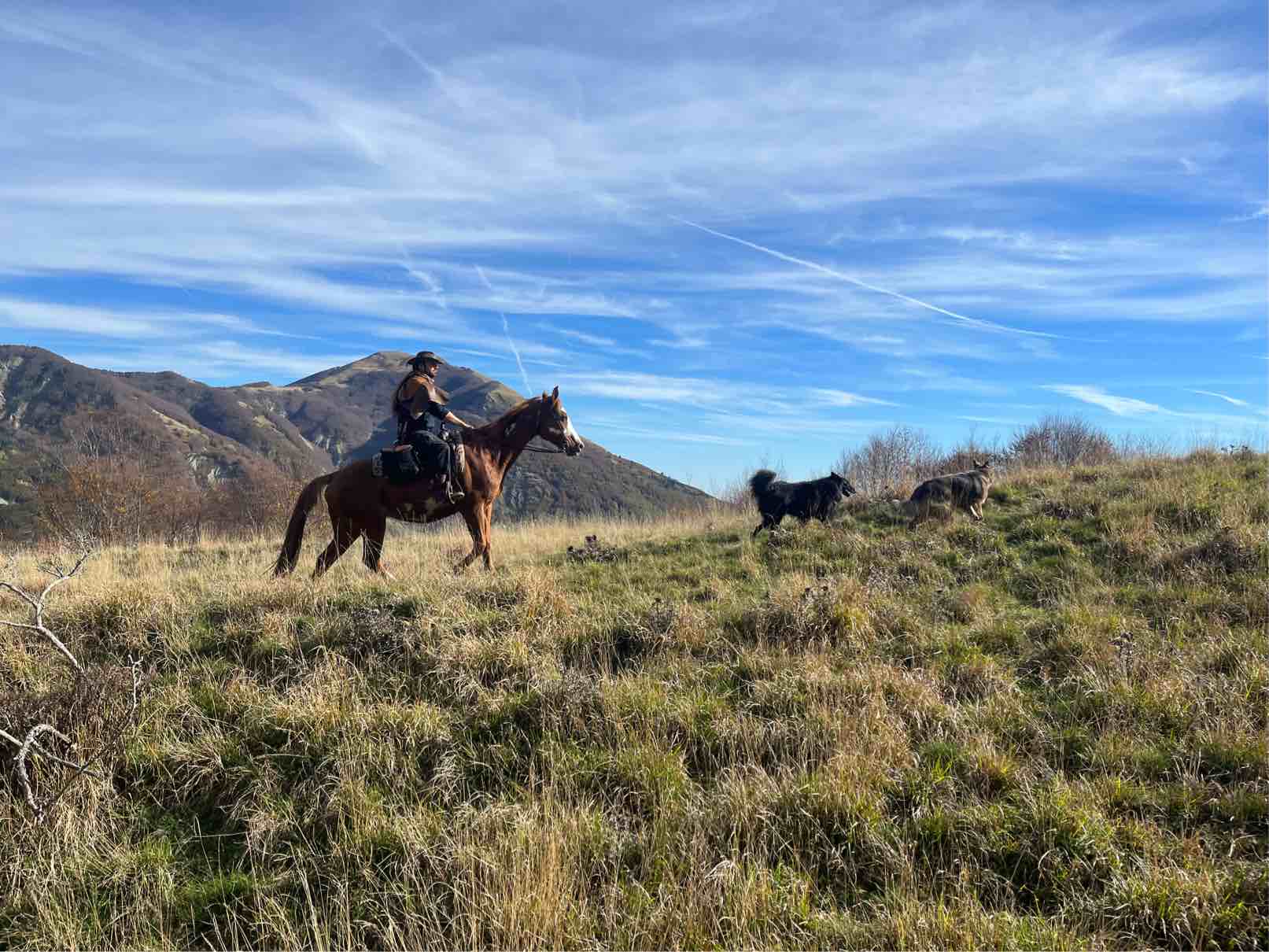 Passeggiata a cavallo sull'Appennino reggiano
