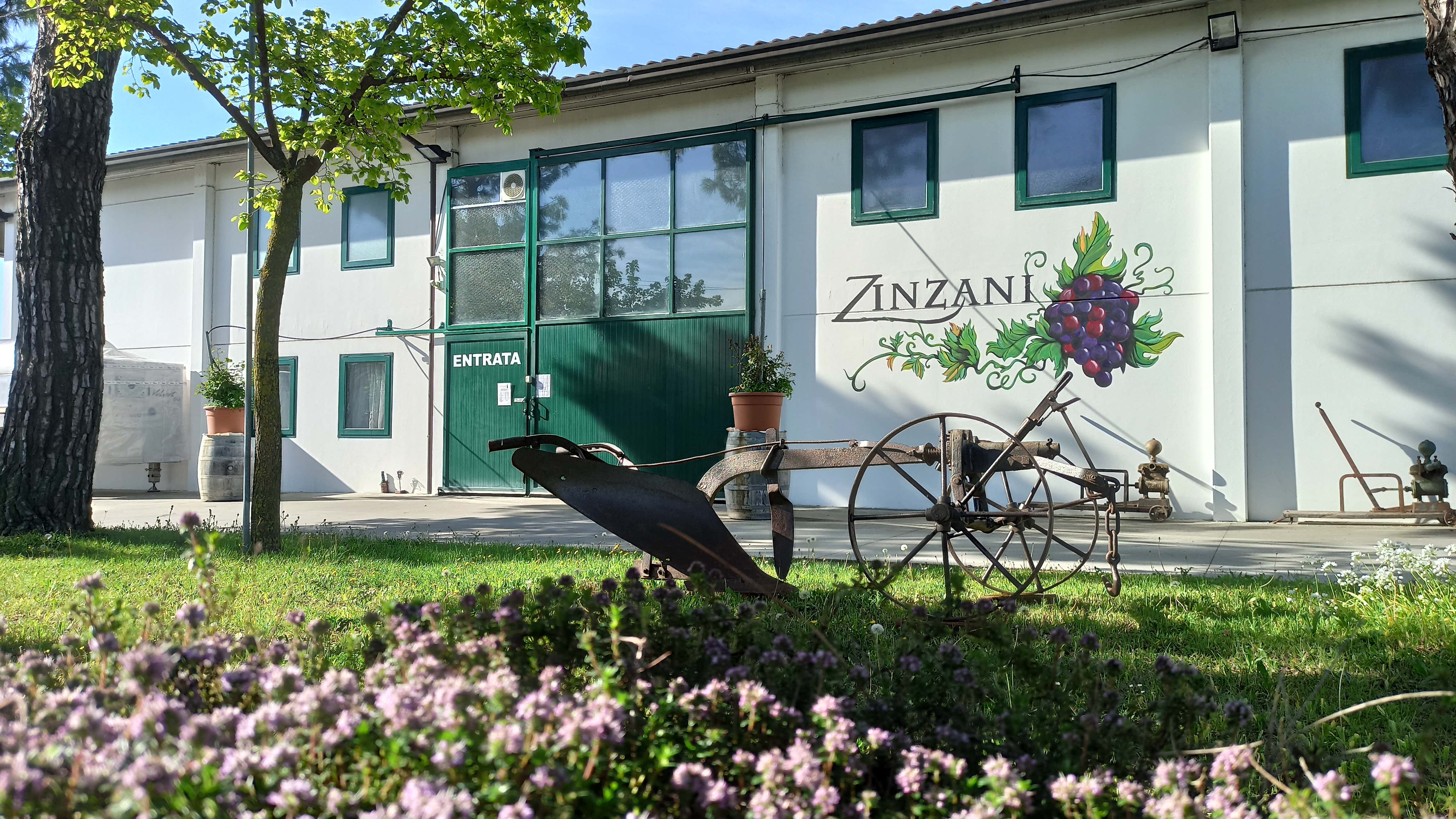 Degustazione di vini sfusi e in etichetta con visita in cantina a Faenza