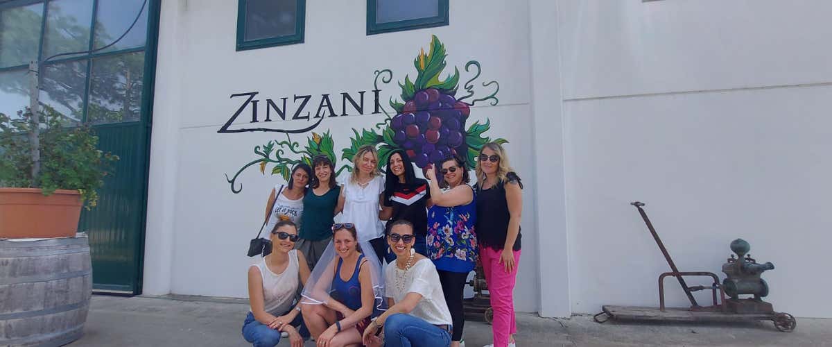 Tasting of 7 wines and winery visit in the hills of Faenza