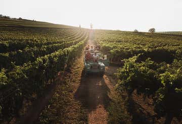 Wine tasting and 4x4 tour through the vineyards at Strevi in Monferrato
