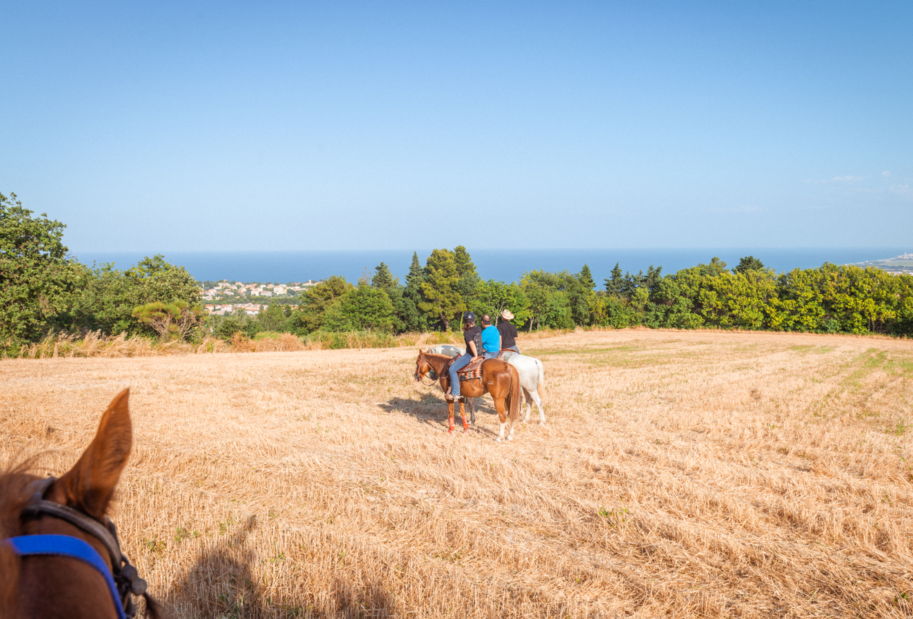 Passeggiata a cavallo di coppia nel Parco del Conero con brindisi