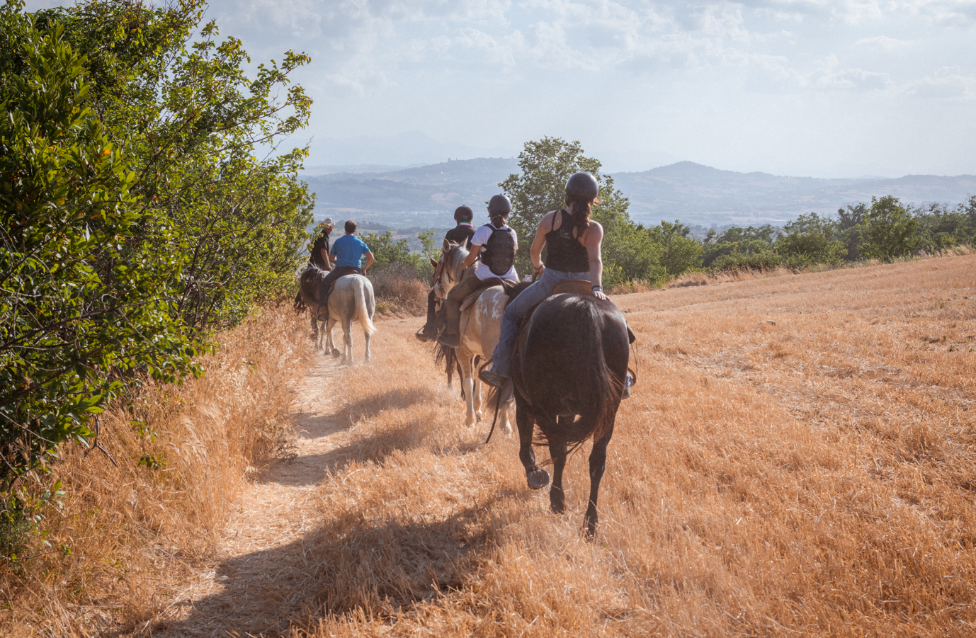 Passeggiata a cavallo di 1 ora e mezza nel Parco del Conero