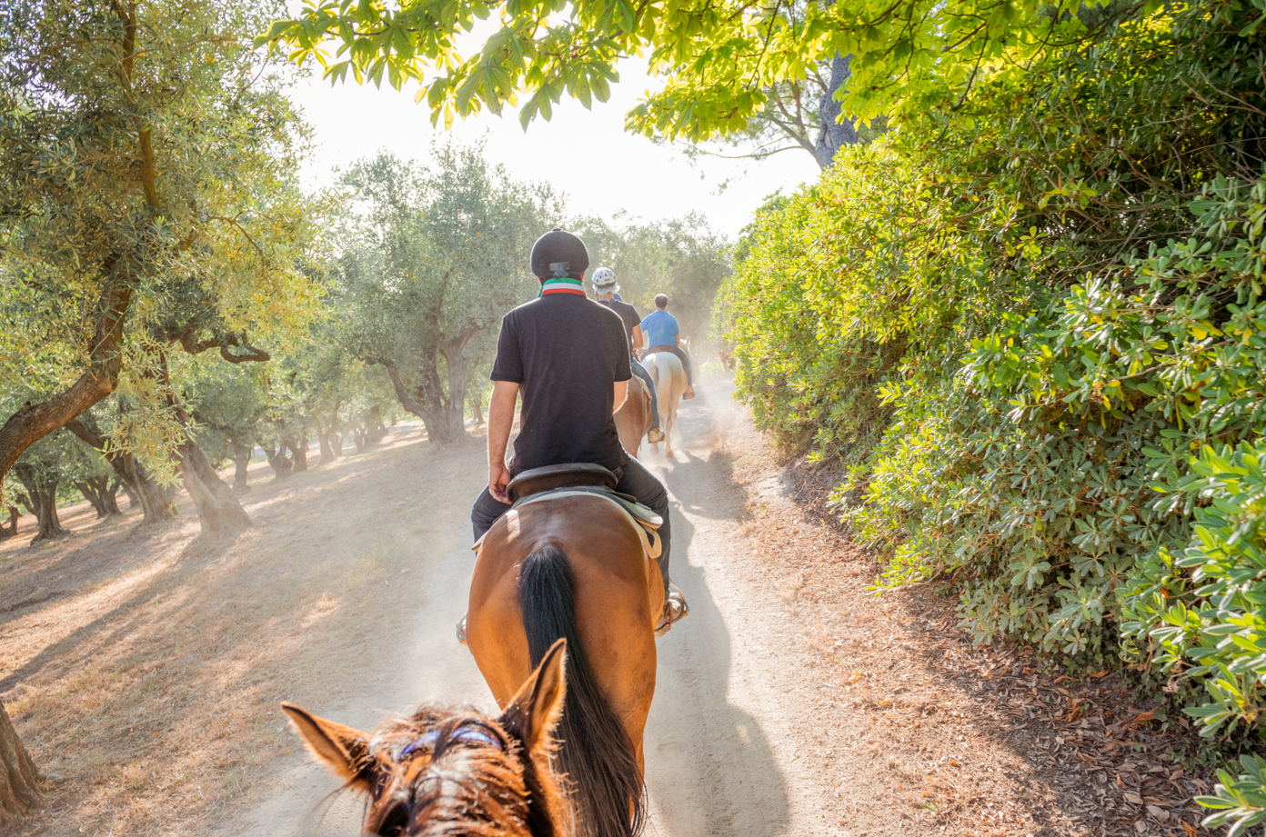 Passeggiata a cavallo di 2 ore con vista panoramica sul Conero