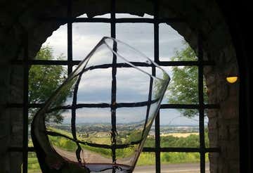 Degustazione vini e visita in cantina a Bertinoro sulle colline romagnole