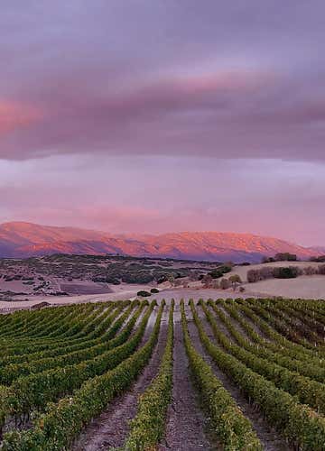 Degustazione di vini con visita in cantina in Anglona
