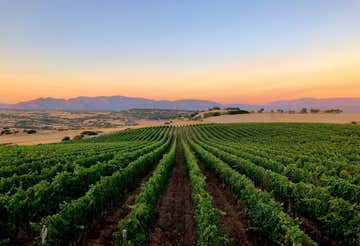 Degustazione di vini con visita in cantina in Anglona