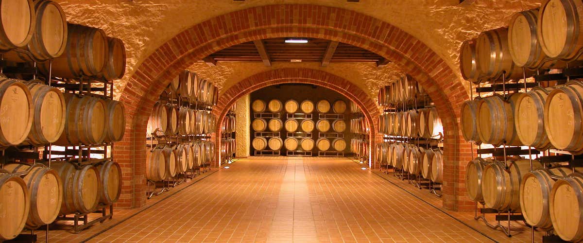 Degustazione vini e visita in cantina a Bardolino sul lago di Garda 