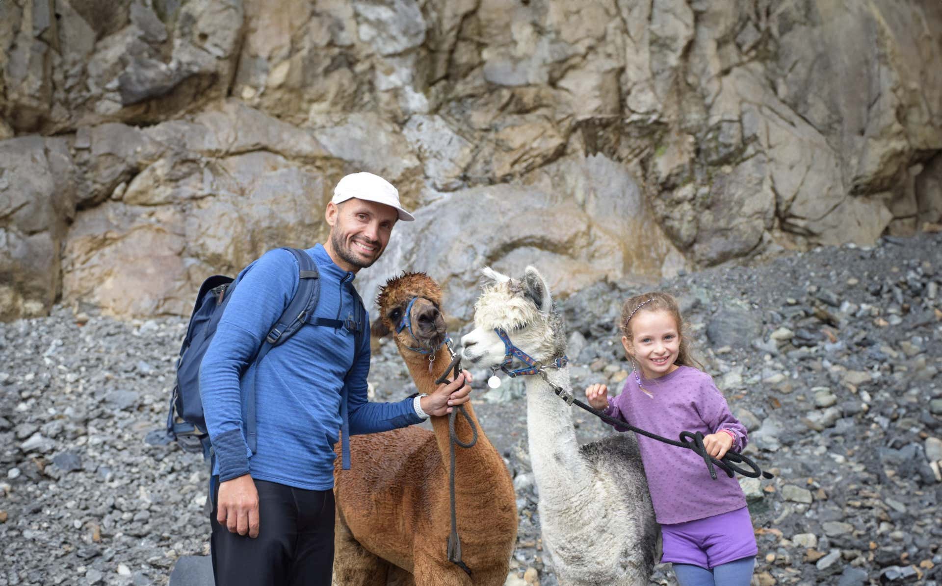 Passeggiate con alpaca Valdidentro