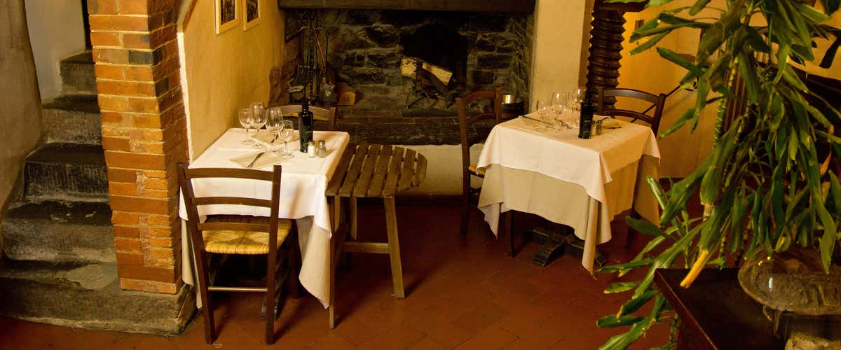 Visita delle cantine storiche con cena e degustazione vini vicino a Firenze