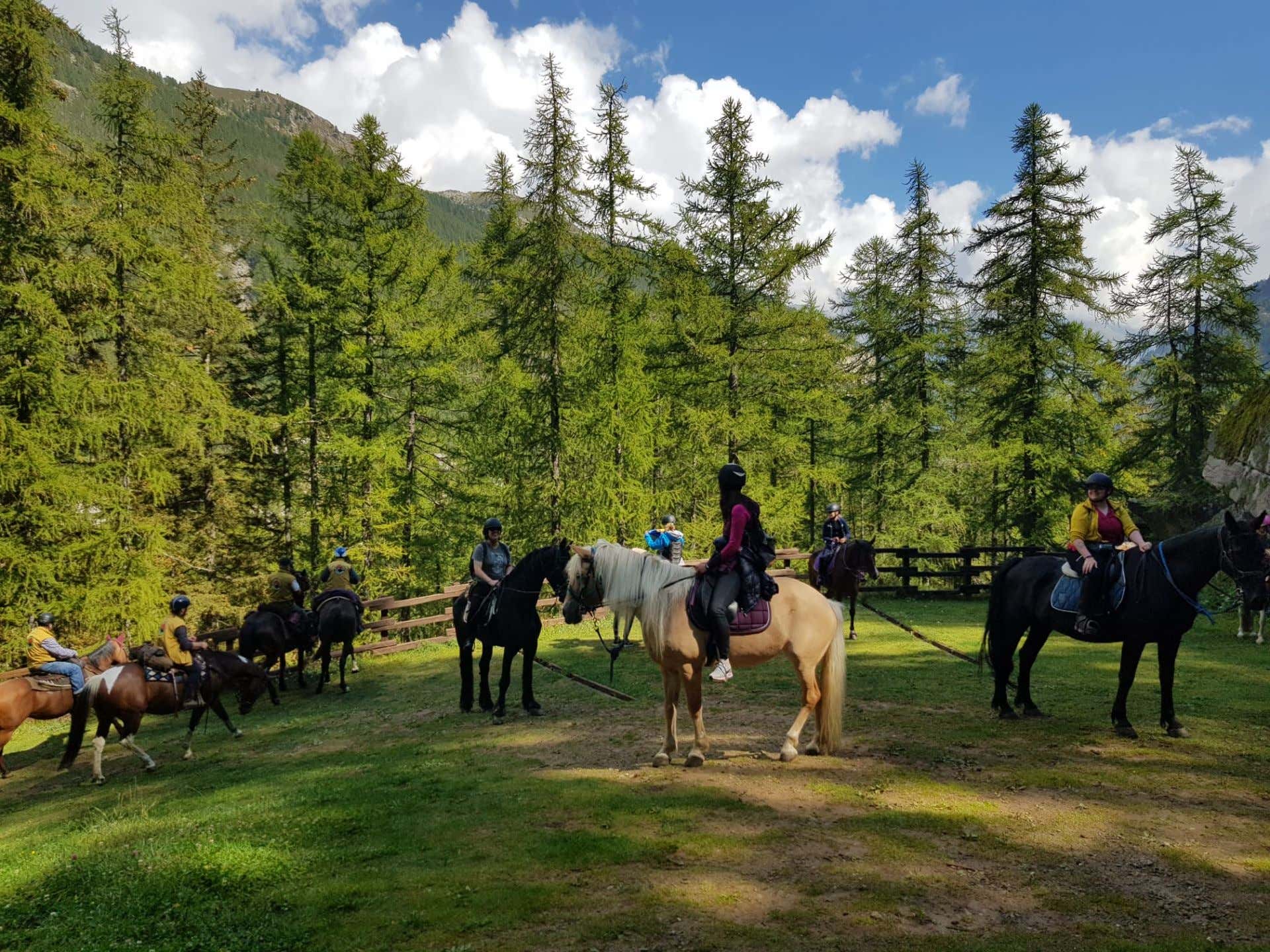 Giornata a cavallo per esperti tra i laghi della Valchiusella