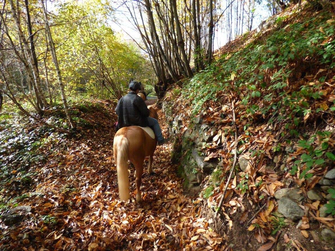 Giornata a cavallo tra i vigneti della Valchiusella con pranzo in agriturismo