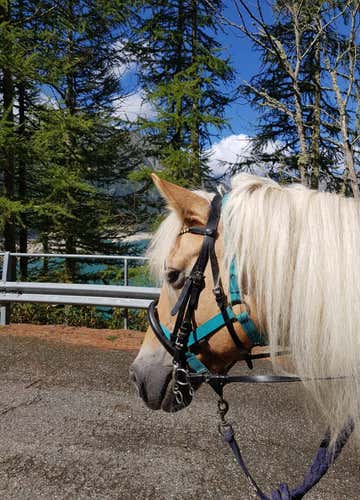 Passeggiata romantica a cavallo sui laghi in Valchiusella