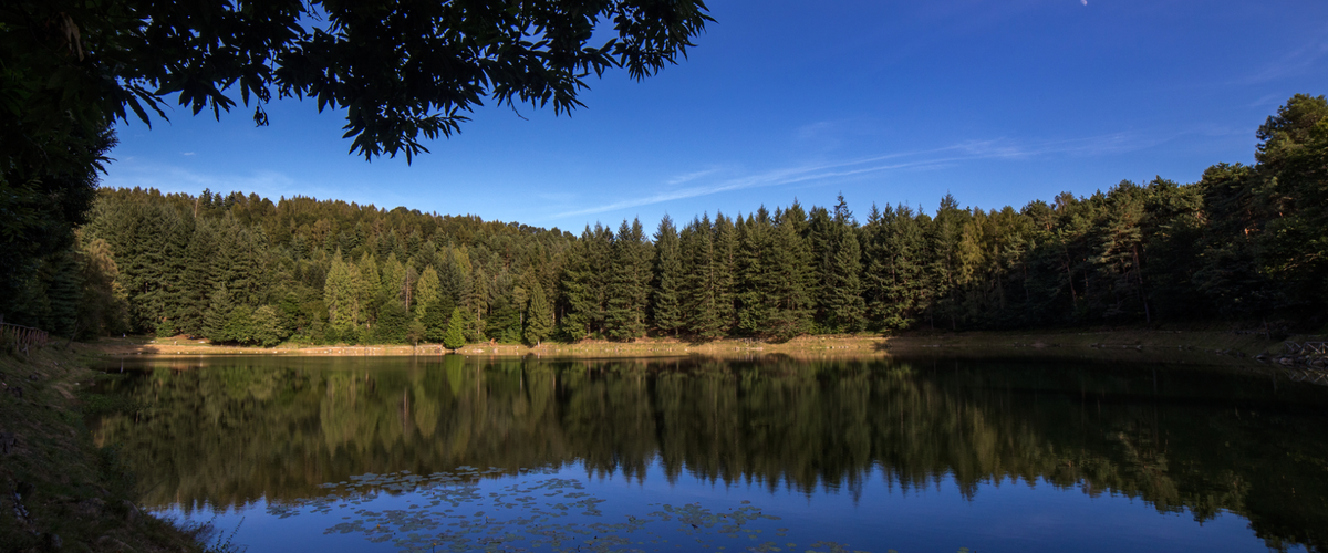 Passeggiata romantica a cavallo sui laghi in Valchiusella