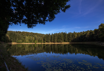Passeggiata romantica a cavallo sui laghi in Valchiusella