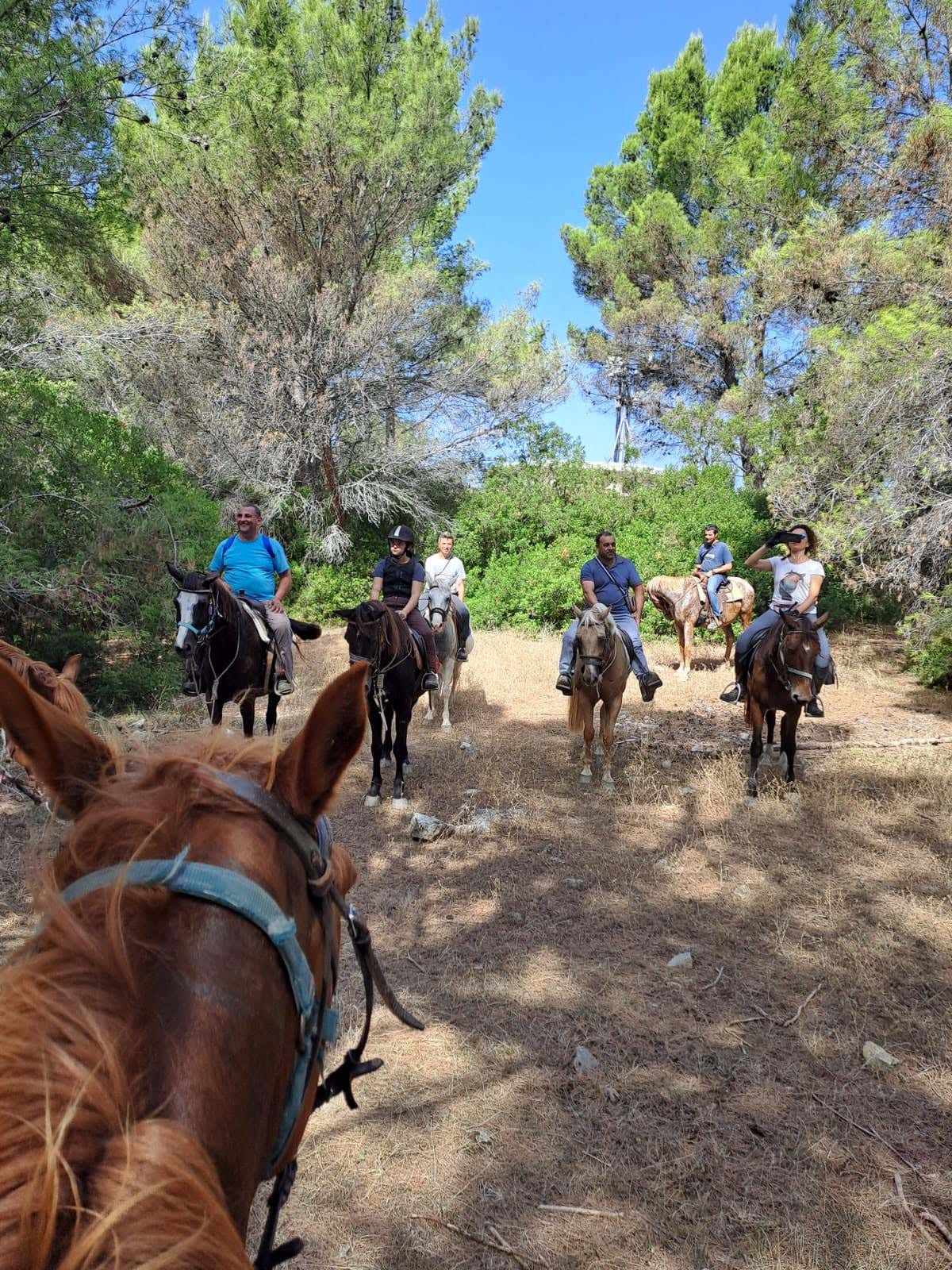Passeggiata a cavallo tra la Marinella e il fiume Lambro in Cilento