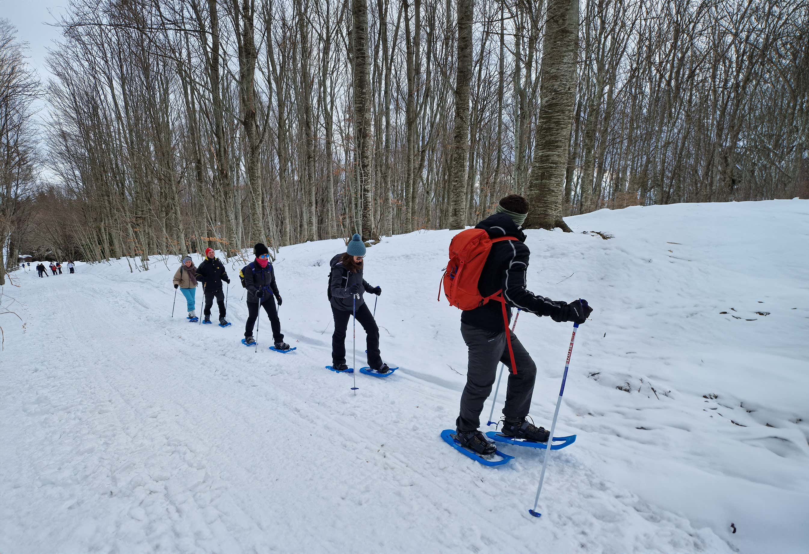Ciaspolata al Ceppo nel Parco Nazionale del Gran Sasso