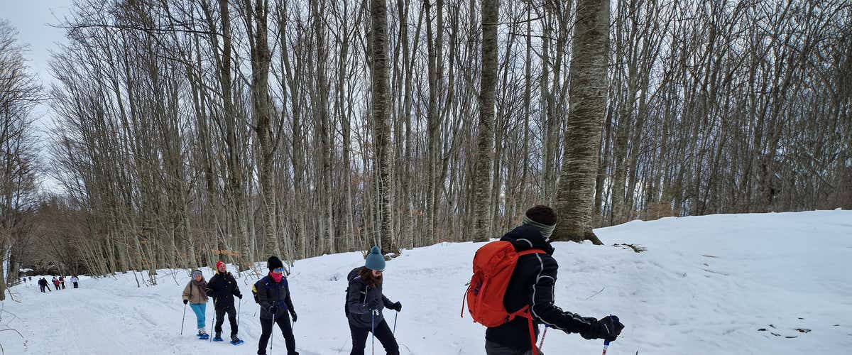 Snowshoeing in the Ceppo area in the Gran Sasso National Park