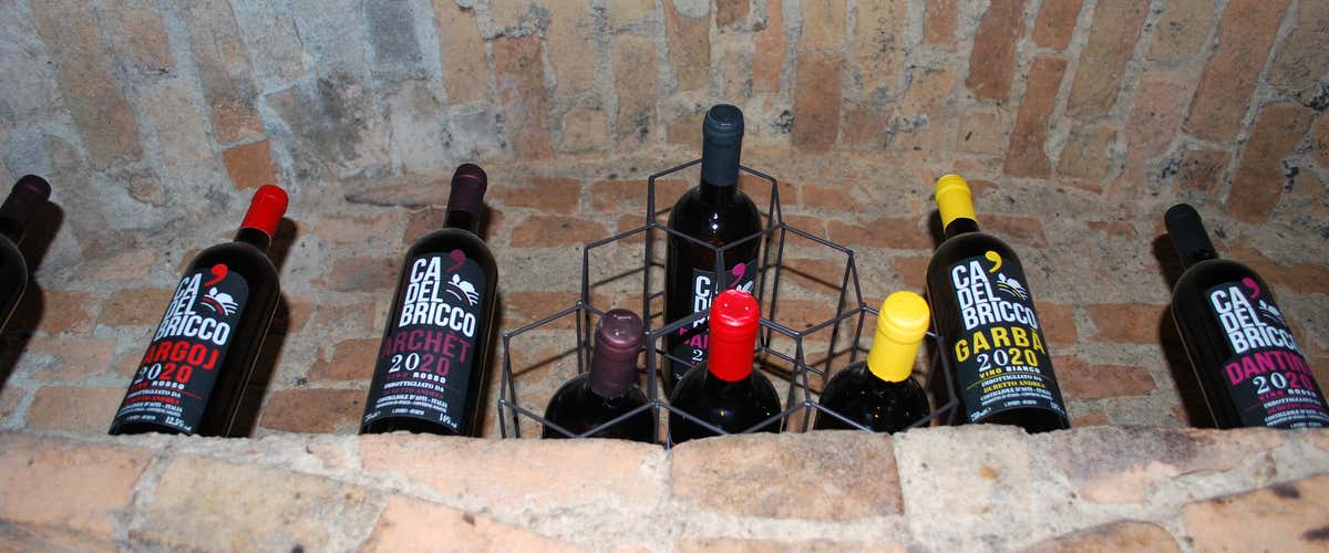 Wine tasting and cellar visit in Costigliole d'Asti