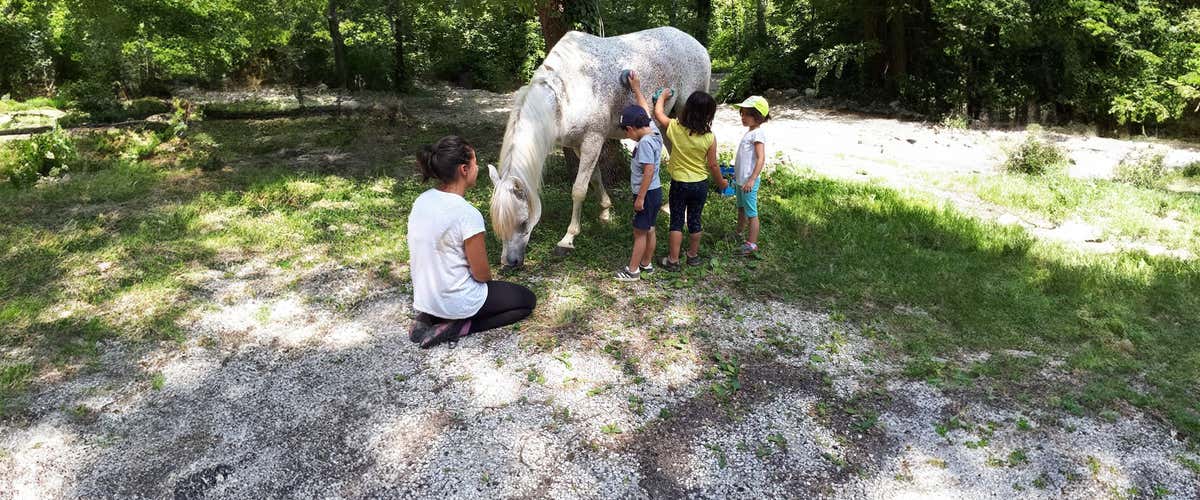 Saddle christening in Ascoli Piceno