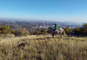 Horseback riding with aperitif in the woods in Ascoli Piceno