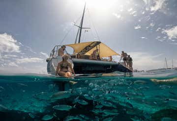 Escursione in catamarano nel Parco Nazionale dell'Asinara con pranzo