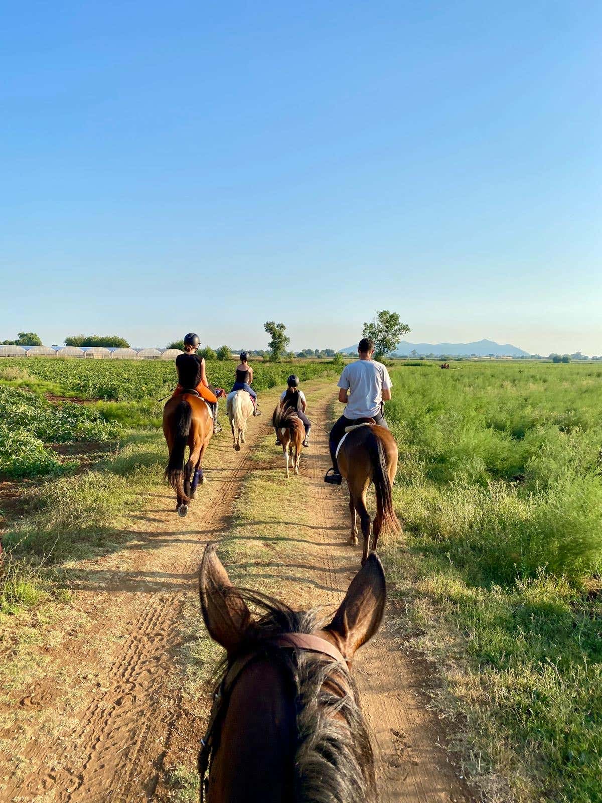 Passeggiata a cavallo a Terracina con aperitivo