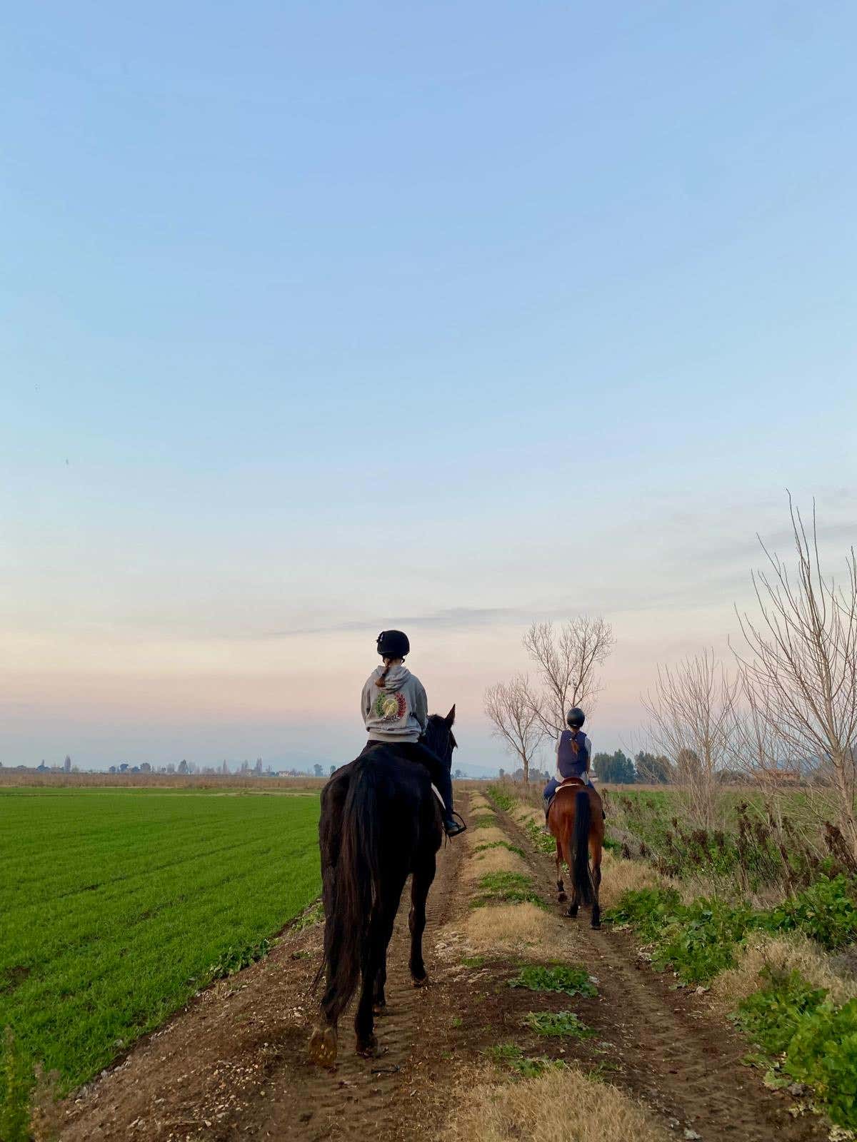 Passeggiata a cavallo nel verde a Terracina