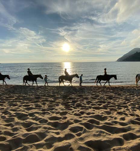 Horse riding on the Porto Ferro beach at sunset