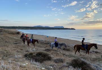 Horse riding on the Porto Ferro beach at sunset