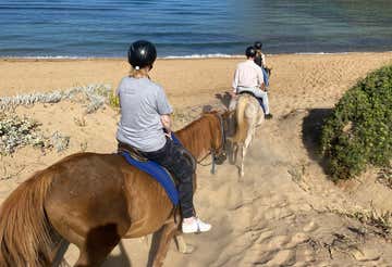 Horse riding on the Porto Ferro beach at sunset