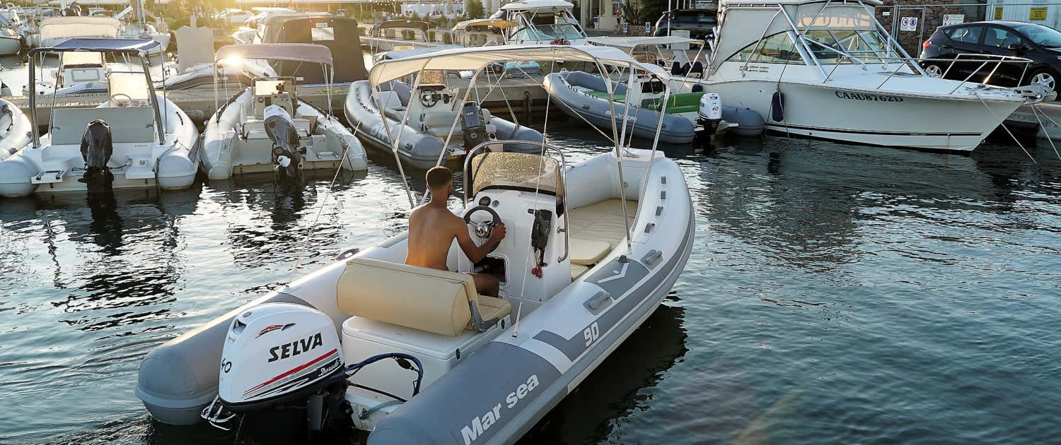 Cclo D Vta Della Tartaruga Marna, Part D Una Tartaruga Marna