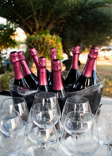 Wine tasting and winery visit in the Macerata hills