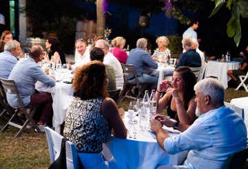 Wine tasting and winery visit in the Macerata hills