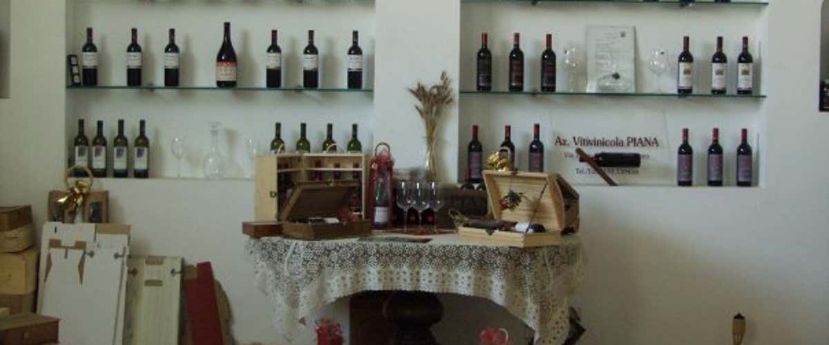 Wine tasting with winery visit in Mombaruzzo