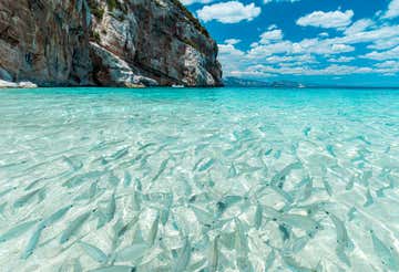 Escursione in mini yacht da Cala Gonone a Cala Goloritzè con aperitivo