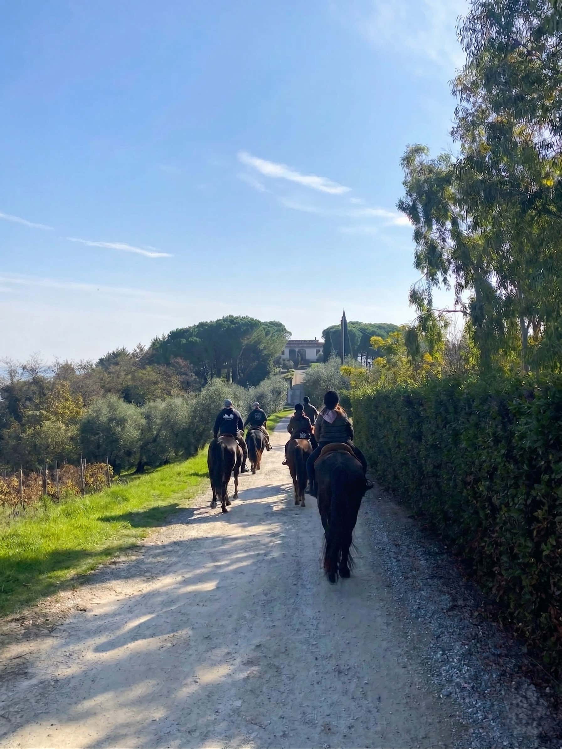 Passeggiata a cavallo nelle Terre di Pisa e aperitivo