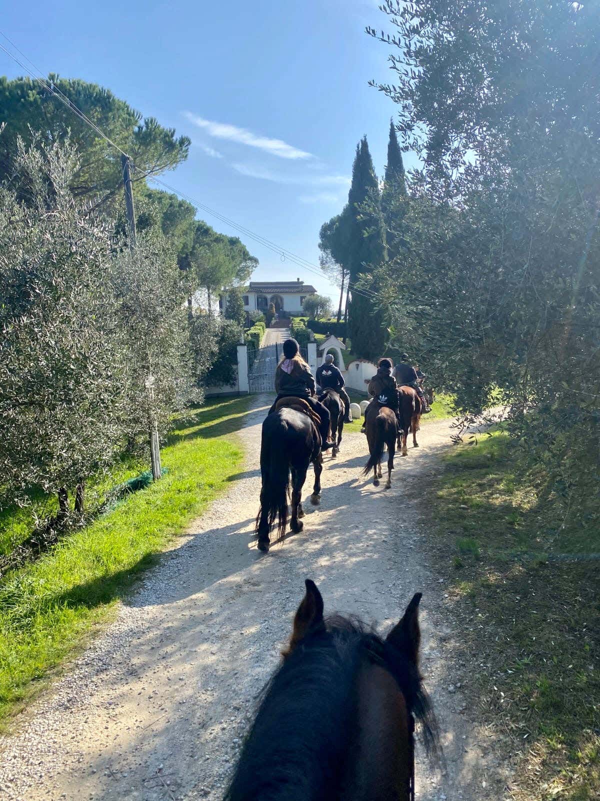 Giornata a cavallo nelle Terre di Pisa con picnic nella natura