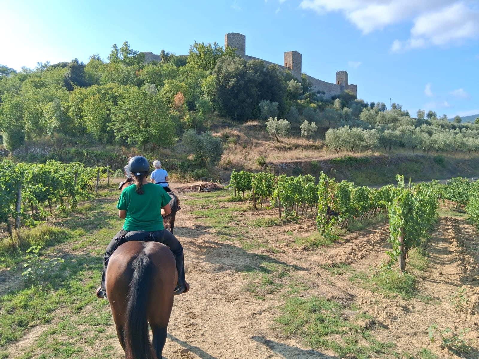 Passeggiata a cavallo nelle Terre di Pisa con pranzo o cena in ristorante
