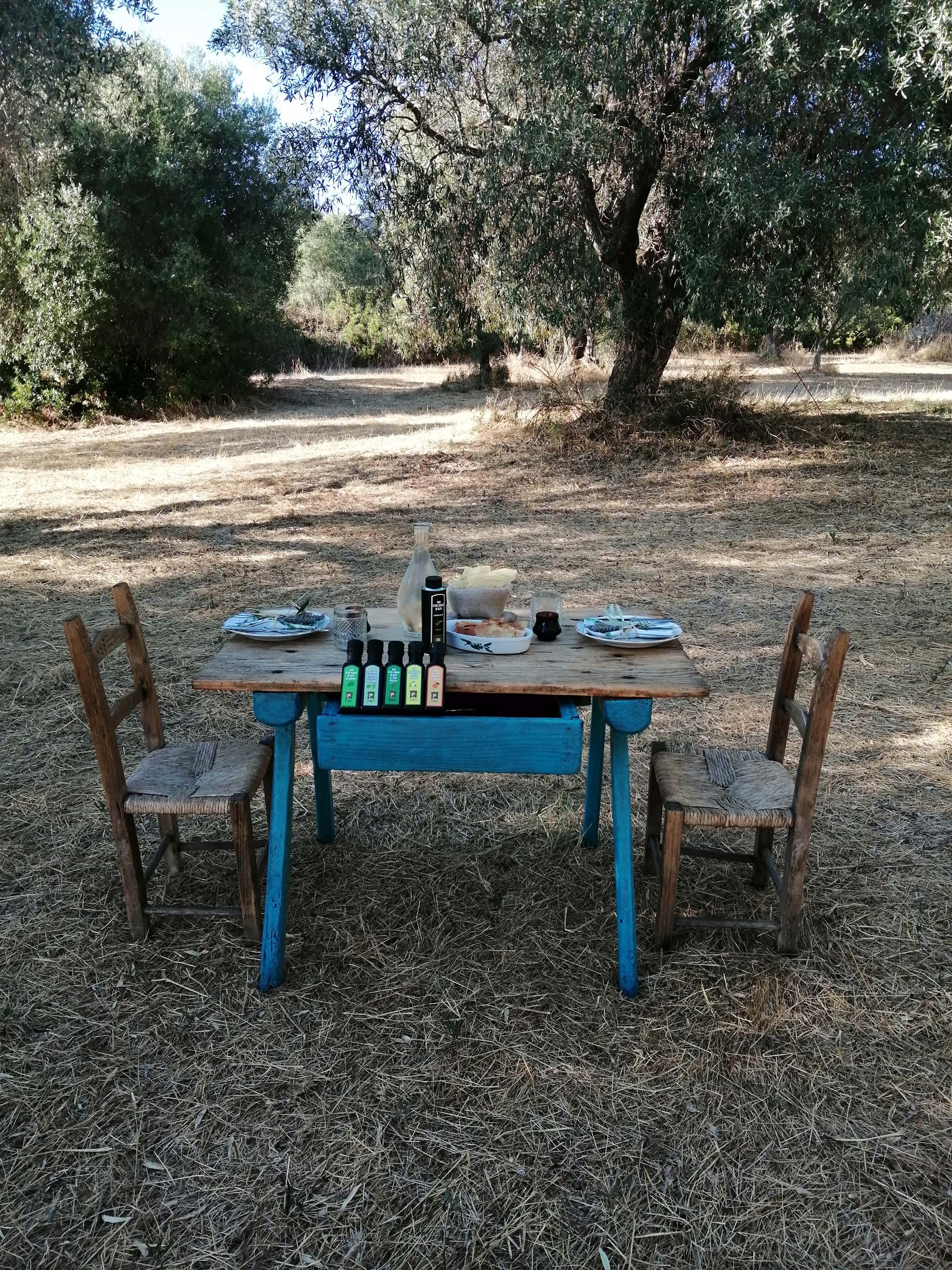 Visita in frantoio con degustazione di olio EVO nell'entroterra sardo